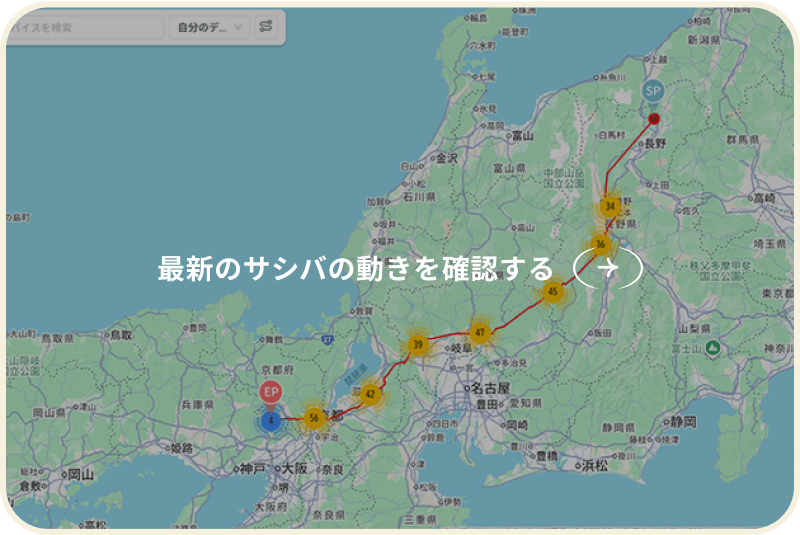 最新のサシバの動きを確認する